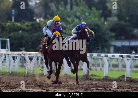 BUENOS AIRES: 13.05.2022 courses hippiques à l'Hippodrome de Palerme, ouvert en 1876 et toujours actif avec plus de 10 courses par jour Banque D'Images