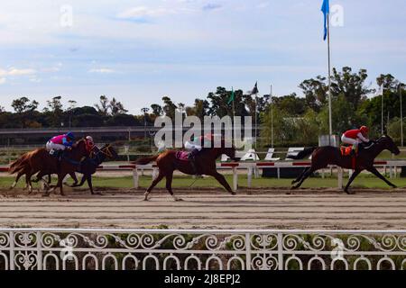 BUENOS AIRES: 13.05.2022 courses hippiques à l'Hippodrome de Palerme, ouvert en 1876 et toujours actif avec plus de 10 courses par jour Banque D'Images