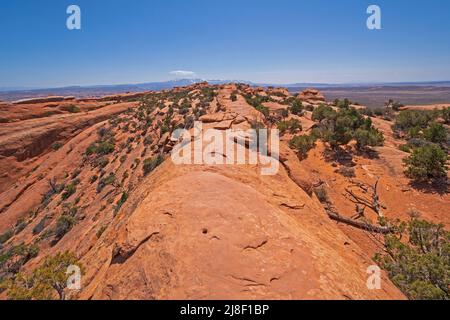 Sentier sur une crête étroite de grès dans le parc national d'Arches, dans l'Utah Banque D'Images