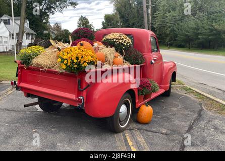 Pick-up rouge classique avec porte de queue couverte de foin de saison d'Halloween d'automne, fleurs et citrouille d'orange Banque D'Images