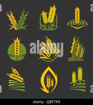 Épis et épis de céréales. Icônes vectorielles de tiges de blé, de seigle, d'orge, de riz et de millet. Pain et céréales ou boulangerie, industrie agricole. Produits bio agricoles biologiques de blé ou de millet d'orge Illustration de Vecteur