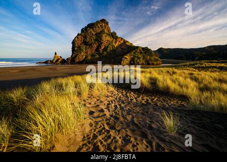 Le Rocher du Lion à Piha beach, New Zealand Banque D'Images