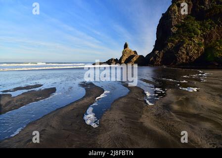 Le Rocher du Lion à Piha beach, New Zealand Banque D'Images