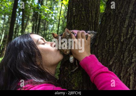 Latina jeune fille embrassant un chat sur un arbre dans une forêt Banque D'Images