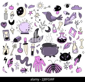 Ensemble de magie, sorcellerie et objets occultes pour sorcières. Amulettes et objets rituels, animaux et oiseaux, potion d'amour et champignons magiques, cristal et Illustration de Vecteur