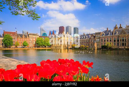 La Haye, pays-Bas. Skyline du centre-ville, les édifices du Parlement et le lac Hofvijver. Banque D'Images