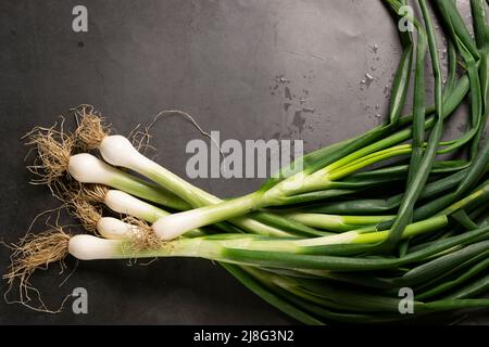 Ciboules sur fond sombre. Récolte, concept agricole, ingrédients biologiques sains Banque D'Images