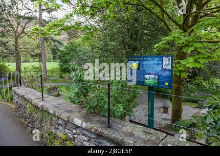 Vue panoramique dans le jardin de Wordsworth Daffodil à Grasmere dans le Lake District, Angleterre, Royaume-Uni Banque D'Images