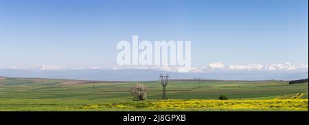 Étendues sans fin de terres agricoles. Chaîne de montagnes avec sommets enneigés. Fleurs sauvages lumineuses dans la prairie. Panorama paysage. Banque D'Images