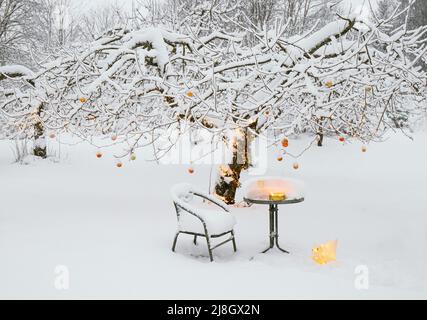 Neige recouvrant pommier dans le jardin d'intérieur en hiver, décoré avec beaucoup de boules de Noël orange métallisé et de lumières LED blanches chaudes. Banque D'Images