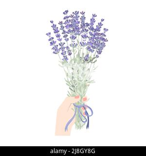 Main femelle tenant un bouquet de lavande en fleur. Main de femme avec fleurs lavandula isolées sur fond blanc. Élément floral botanique vectoriel plat Illustration de Vecteur