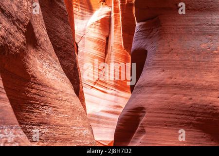 Paysage dans un canyon de fente avec des murs de roche ondulés et lisses, Canyon X, Arizona, les États-Unis Banque D'Images