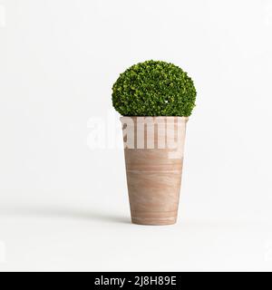 3d illustration de plantes de maison en pierre isolées sur fond blanc Banque D'Images