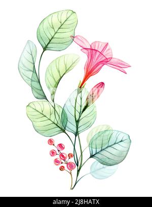 Transparent aquarelle fleurs d'hibiscus, d'eucalyptus et de baies. Bouquet tropical coloré isolé sur blanc. Pour illustration floral botanique Banque D'Images