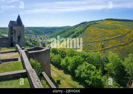 Vue du château de Bourscheid sur la vallée, château médiéval complexe à Bourscheid, quartier Diekirch, Ardennes, Luxembourg, Europe Banque D'Images
