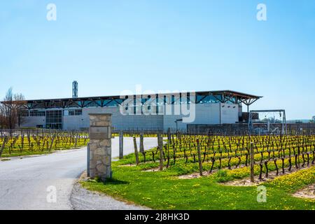 Jackson-Triggs, Niagara-on-the-Lake Banque D'Images