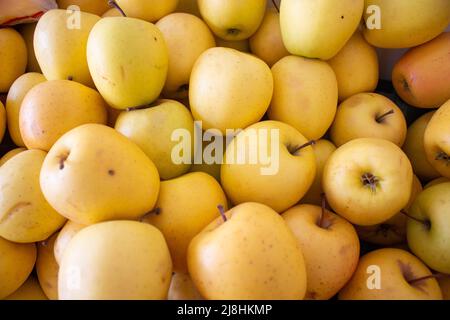 Plein écran de fond de pommes jaunes. Beaucoup de pomme fraîche biologique dans le marché, plein cadre de prise de vue. Banque D'Images
