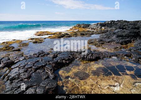 Des bassins de marée sur la roche volcanique en colonnes de South point Park, le point le plus au sud des États-Unis sur la grande île d'Hawaï dans le Banque D'Images