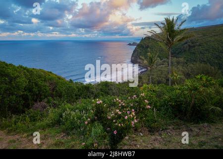 Vue sur la vallée Pololu avec des nuages roses au coucher du soleil dans la réserve forestière de Kohala au nord de Big Island à Hawaii, États-Unis Banque D'Images