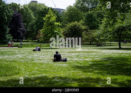 Londres, Royaume-Uni. 16 mai 2022. Météo au Royaume-Uni : les gens parmi les pâquerettes dans le parc St James's un après-midi chaud. Les prévisions pour la capitale sont pour les températures de 26C demain. Credit: Stephen Chung / Alamy Live News Banque D'Images
