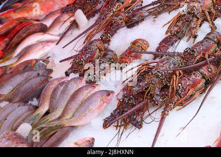 Guadeloupe marché aux poissons à Pointe a Pitre, la plus grande ville de Guadeloupe. Les sapeurs-naisseurs, la dorade et la langouste (homard épineux). Banque D'Images