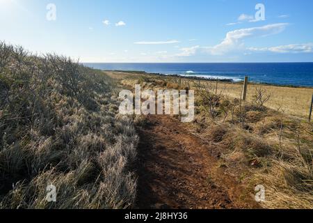 Sentier de terre le long de l'océan Pacifique près du Mo'okini Heuiau dans le nord de Big Island, Hawaii - Old Coast Guard Road dans les sites historiques de Kohala S Banque D'Images