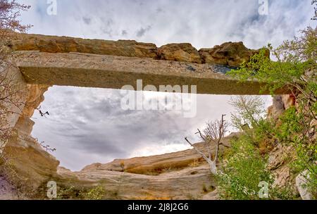 Vue panoramique depuis le pont Agate en dessous dans le parc national de Petrified Forest, Arizona. En raison de la fragilité de cette bûche pétrifiée, un support en béton était b Banque D'Images