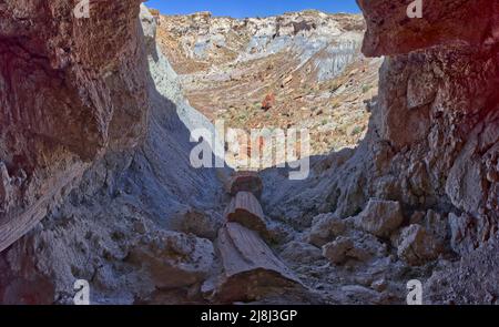 Vue de l'intérieur d'une grotte dans la forêt de Jasper, juste en dessous du plateau d'Agate, dans le parc national de la forêt pétrifiée, en Arizona. Banque D'Images