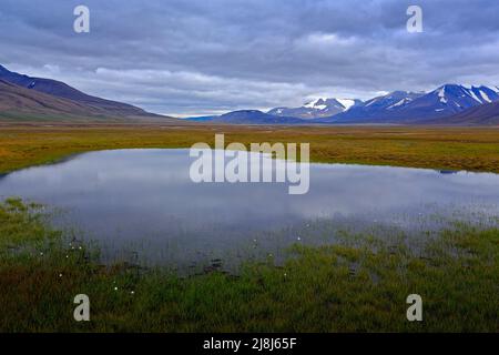 Norvège paysage typique avec lac et montagne. Paysage près de Longyearbyen, Svalbard. Jour sombre en été. Nuages gris sur le ciel. Herbe avec de l'eau. Banque D'Images