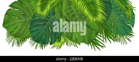 Composition tropicale d'été avec feuilles de palmier vertes. Conception botanique exotique avec plantes de jungle pour invitation, bannière, affiche. Illustration vectorielle Illustration de Vecteur
