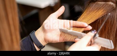 Les mains du coiffeur tiennent le fil de cheveux entre ses doigts faisant la coupe de cheveux longs de la jeune femme avec peigne et ciseaux dans salon de coiffure, gros plan Banque D'Images