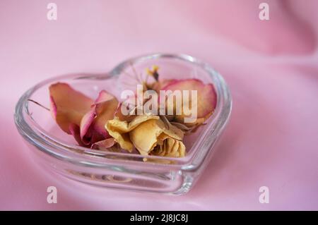 Pétales de rose séchés dans un plat en verre en forme de coeur sur fond de tissu rose. Banque D'Images