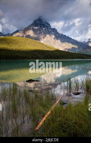 Lumière du matin sur le mont Chephren dans le parc national Banff, Alberta, Canada Banque D'Images