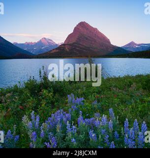 Lever de soleil au-dessus de Grinnell point et du lac SwiftCurrent, parc national des Glaciers, Montana, États-Unis. Banque D'Images