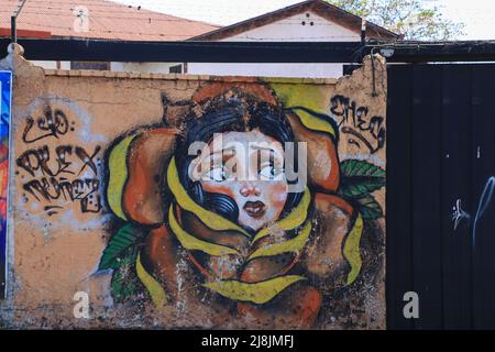 Art de rue Costa Rica - œuvre d'art Graffiti, montrant une fleur avec le visage de fille au centre. Artiste inconnu Banque D'Images