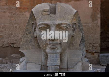 Vue de face de la tête de Ramsès II dans le Temple de Louxor, Louxor, Egypte Banque D'Images