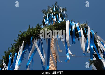 Gros plan d'un soi-disant 'Caibaum', un tronc d'arbre décoré de branches, couronnes et rubans, établi en Allemagne le premier mai, contre un sk bleu Banque D'Images