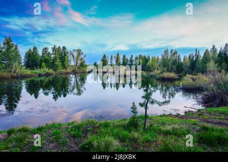 Un étang éphémère reflète le ciel au coucher du soleil, Island Park, Fremont County, Idaho, Etats-Unis Banque D'Images