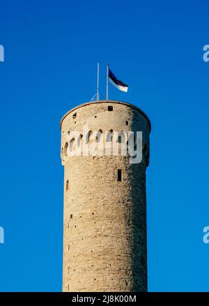 Tour Pikk Hermann, Château de Toompea, Tallinn, Estonie Banque D'Images