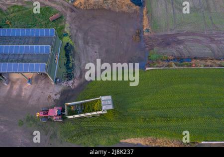 Photo de drone avec champ, tracteur et panneaux solaires, Allemagne, Schleswig-Holstein Banque D'Images