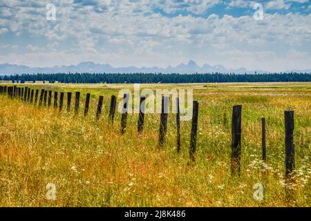 Parc national pittoresque de Harriman avec Teton Range en arrière-plan, Island Park, comté de Fremont, Idaho, États-Unis Banque D'Images