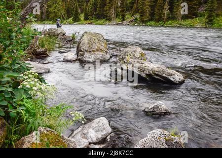 Pêche sous le barrage Island Park dans Box Canyon de Henry's Fork de la rivière Snake, Island Park, Fremont County, Idaho, États-Unis Banque D'Images