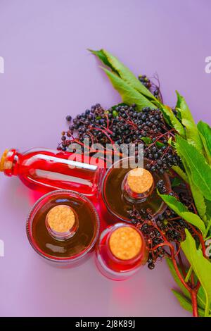 Sirop de sureau.mûr noir sureau. Récolte de baies de sureau. Sambucus sirop.Red sirop de sureau dans des bouteilles sur fond violet Banque D'Images