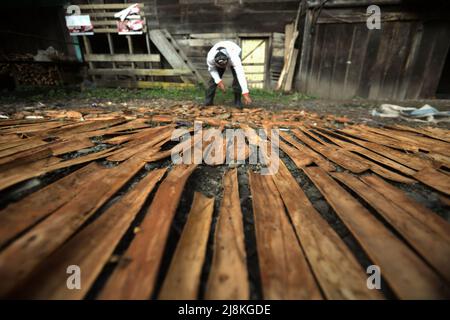 Un homme séchant des écorces de cannelle au soleil à Kayu Aro, Kerinci, Jambi, Indonésie. Banque D'Images