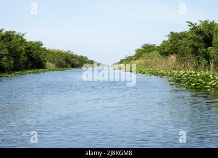Une voie navigable naturelle du parc national des Everglades en Floride Banque D'Images