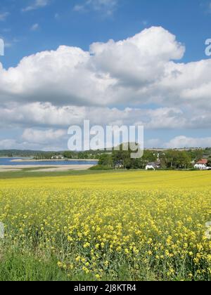 Village de Seedorf(Sellin),Ruegen,mer baltique,Mecklenburg-Vorpommern,Allemagne Banque D'Images