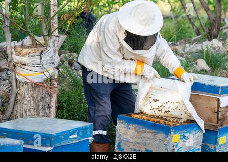 Mise au point sélective à partir de l'angle opposé du couvercle de la ruche d'ouverture de l'alimenteur d'abeilles. Banque D'Images