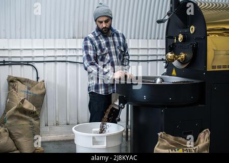 Un torréfacteur de café pendant la torréfaction des grains de café chèques Banque D'Images