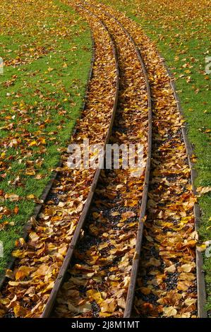 Les feuilles d'automne déchue se rassemblent sur les voies du chemin de fer miniature, Pavilion Gardens, Buxton, Derbyshire, Royaume-Uni Banque D'Images