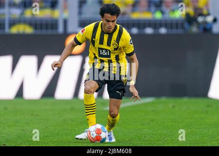DORTMUND, ALLEMAGNE - MAI 14 : Reinier de Borussia Dortmund pendant le 1. Match de Bundesliga entre Borussia Dortmund et Hertha BSC au signal Iduna Park le 14 mai 2022 à Dortmund, Allemagne (photo de Joris Verwijst/Orange Pictures) Banque D'Images